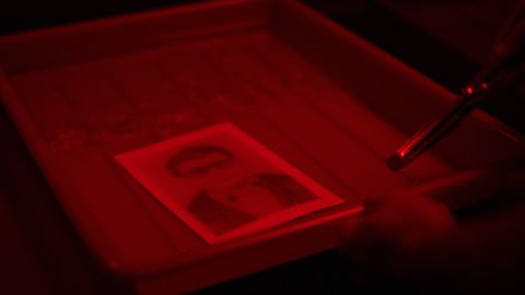 905457.jpg