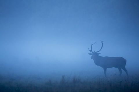 Unsere_Wildnis_Szenenbilder_14.600x600.jpg