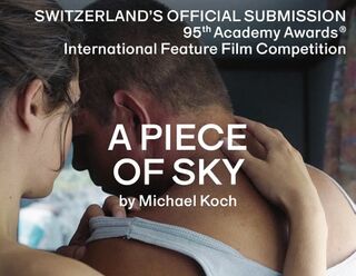 DRII WINTER is Switzerland's Oscar entry